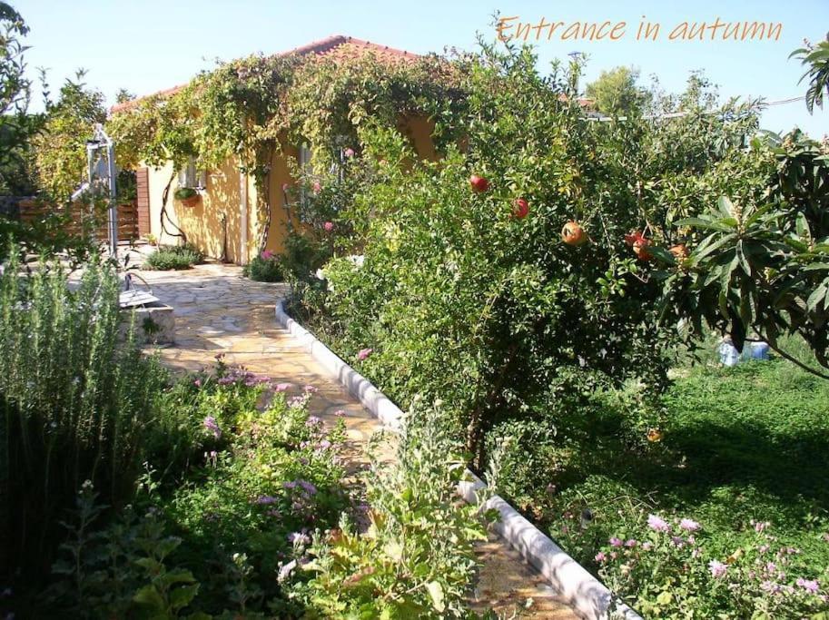 Adonino Residence-The House Of Pomegranates Lakíthra 外观 照片