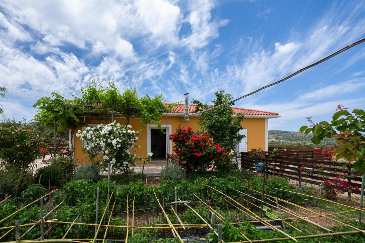 Adonino Residence-The House Of Pomegranates Lakíthra 外观 照片