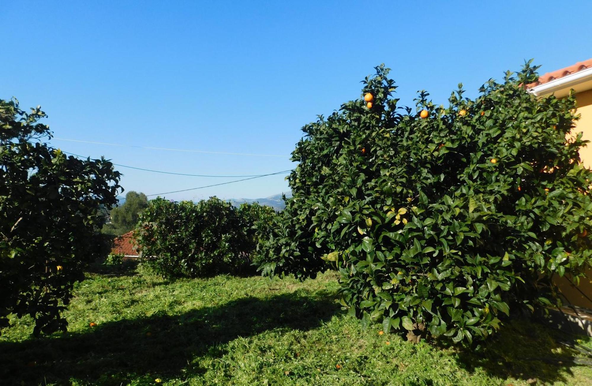 Adonino Residence-The House Of Pomegranates Lakíthra 外观 照片